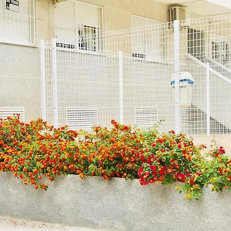 Apartment In Torrevieja